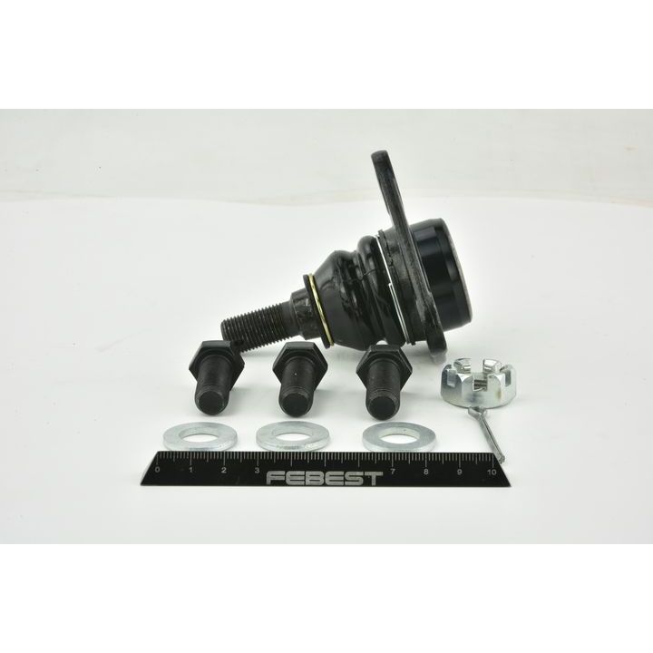 Šarnyras / girgždukas FEBEST 2520-BOX3