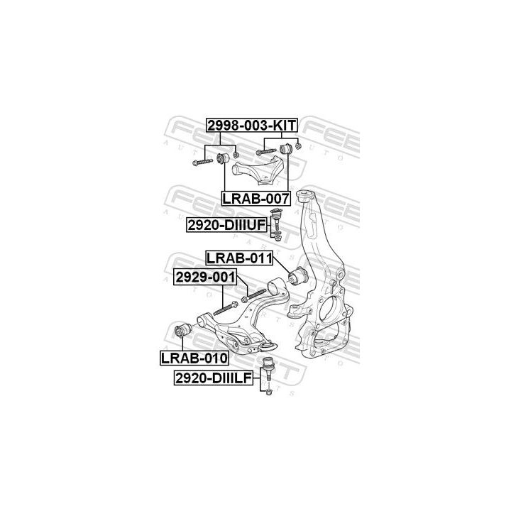 Šarnyras / girgždukas FEBEST 2920-DIIILF