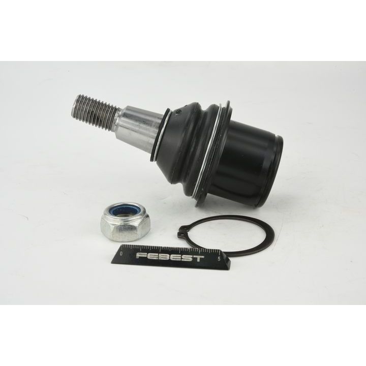 Šarnyras / girgždukas FEBEST 2920-DIIILF