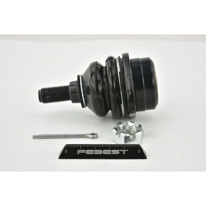 Šarnyras / girgždukas FEBEST 2920-RRIIIF