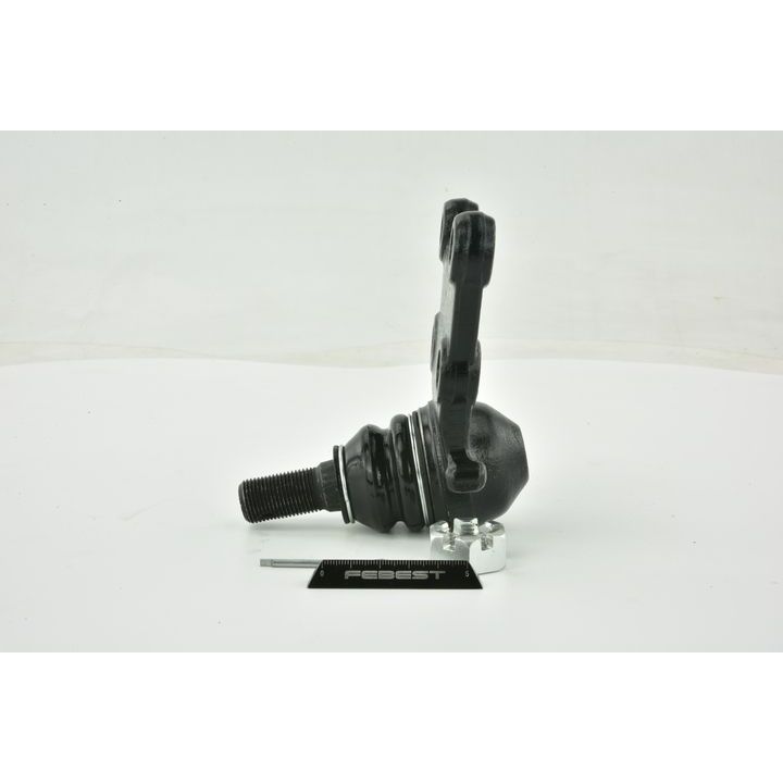 Šarnyras / girgždukas FEBEST 3020-002