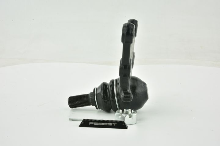 Šarnyras / girgždukas FEBEST 3020-002