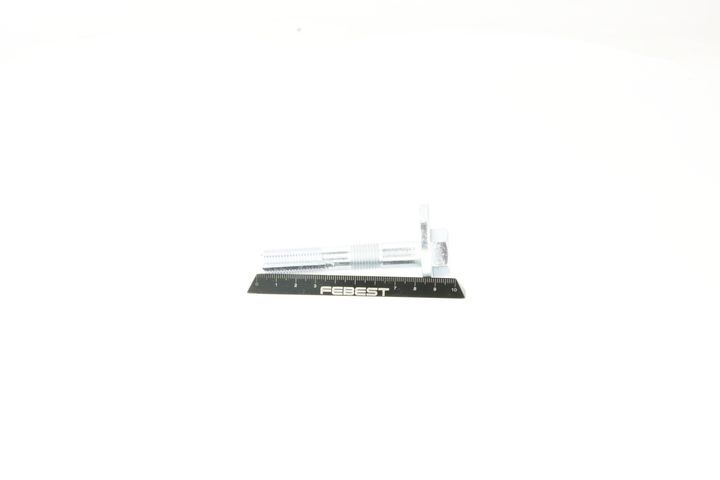 Išvirtimo reguliavimo varžtas FEBEST 0129-007