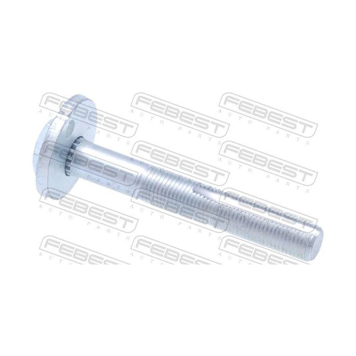 Išvirtimo reguliavimo varžtas FEBEST 0229-003