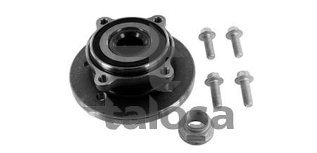Rato guolio komplektas TALOSA 81-BM-0267