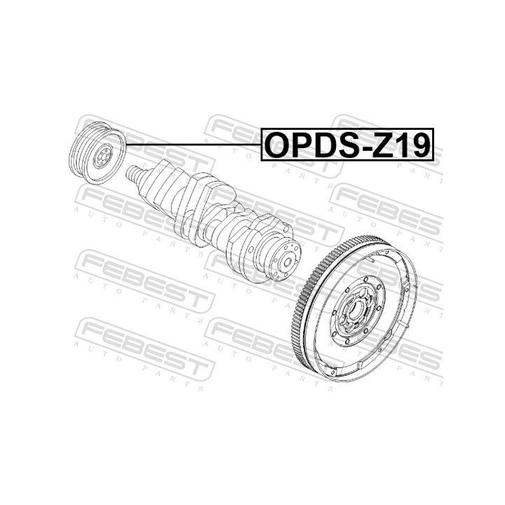 Skriemulys, alkūninis velenas FEBEST OPDS-Z19