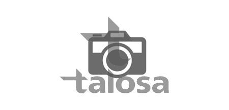 Skersinės vairo trauklės galas TALOSA 42-20106