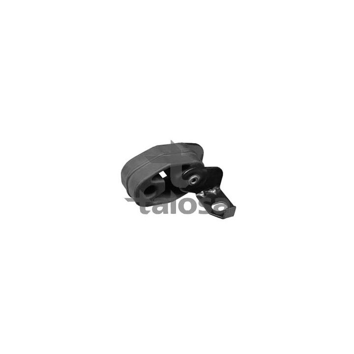 Laikiklis, išmetimo sistema TALOSA 62-08113