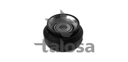 Pakabos statramsčio atraminis guolis TALOSA 63-04786