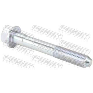 Tvirtinimo veržlės, balansyras FEBEST 0598-001