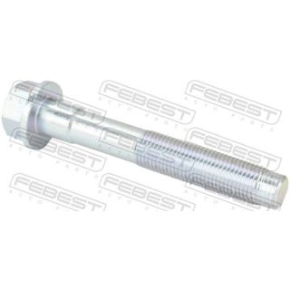 Tvirtinimo veržlės, balansyras FEBEST 0598-002
