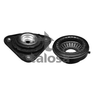 Pakabos statramsčio atraminis guolis TALOSA 63-06159