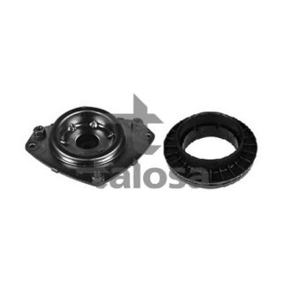 Pakabos statramsčio atraminis guolis TALOSA 63-13169