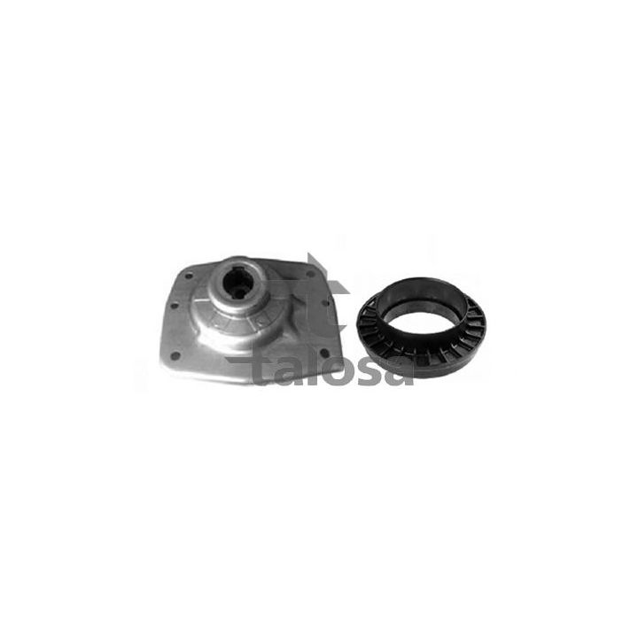 Pakabos statramsčio atraminis guolis TALOSA 63-13181