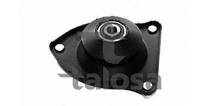 Pakabos statramsčio atraminis guolis TALOSA 63-13418