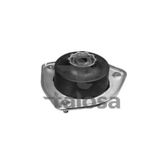 Pakabos statramsčio atraminis guolis TALOSA 63-13545