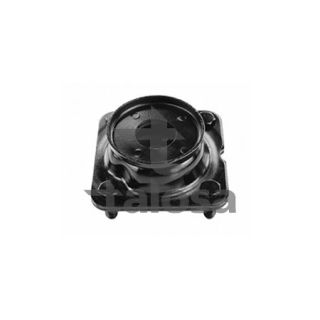 Pakabos statramsčio atraminis guolis TALOSA 63-14735