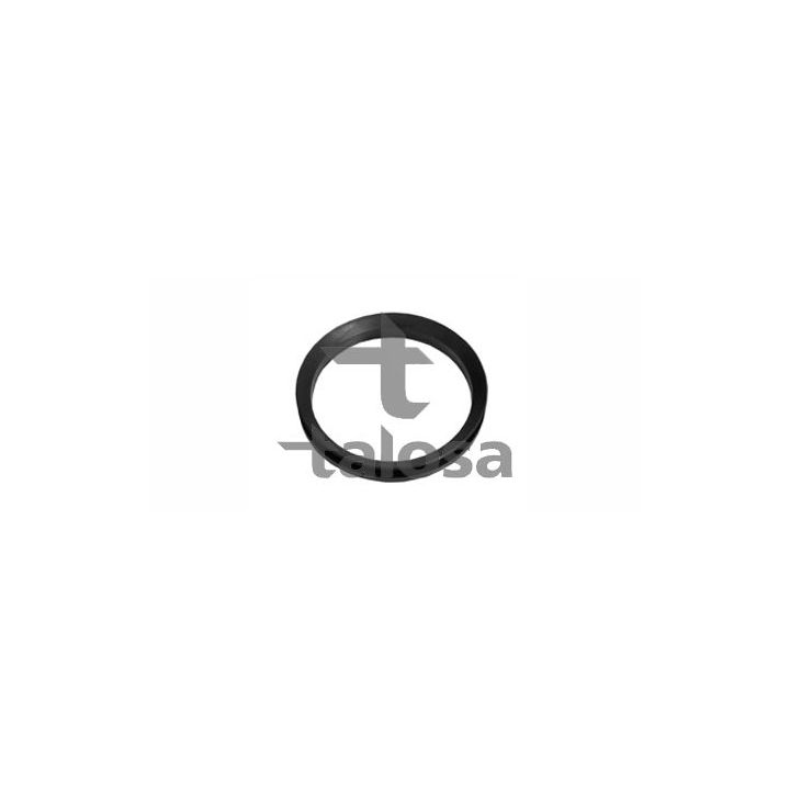 Pakabos statramsčio atraminis guolis TALOSA 63-16732