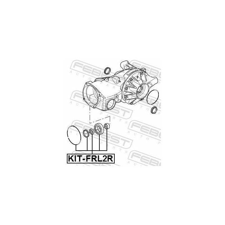 Guolis, kardaninis velenas FEBEST KIT-FRL2R