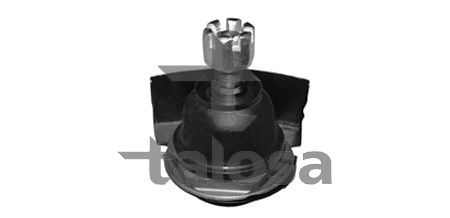 Šarnyras / girgždukas TALOSA 47-01667