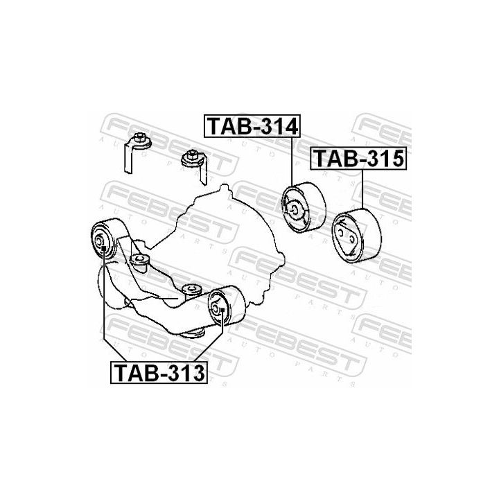 Montavimas, diferencialas FEBEST TAB-315