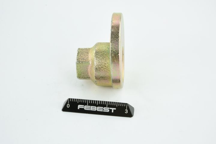 Gnybtas, atraminis buferis (ašies korpusas) FEBEST 0131-001