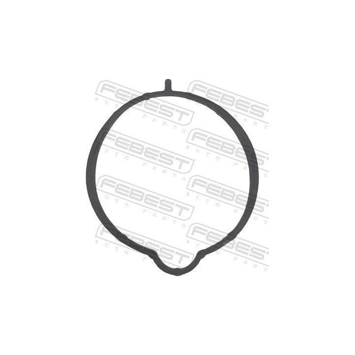 Tarpiklis, droselio korpusas FEBEST 05402-002