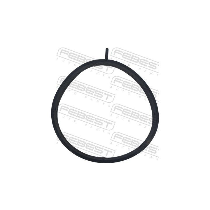 Tarpiklis, droselio korpusas FEBEST 24400-001