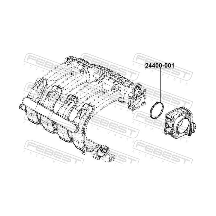 Tarpiklis, droselio korpusas FEBEST 24400-001