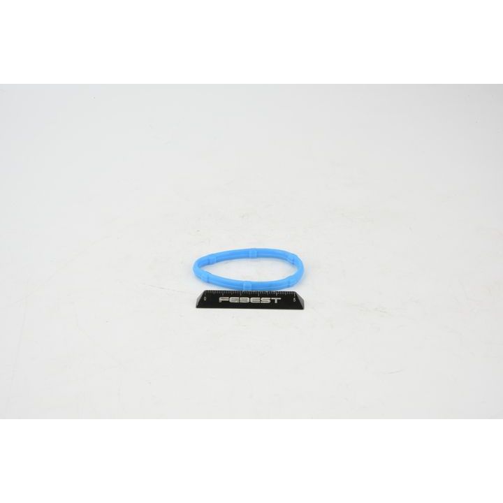 Tarpiklis, droselio korpusas FEBEST RINGAH-004