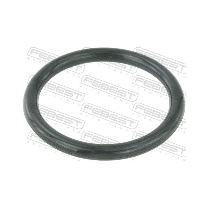 Tarpiklis, droselio korpusas FEBEST RINGAH-009