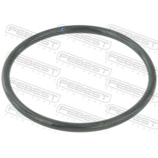 Tarpiklis, droselio korpusas FEBEST RINGAH-010