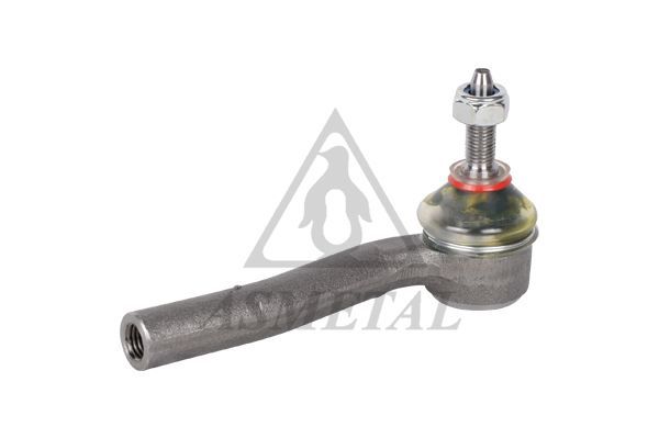 Skersinės vairo trauklės galas ASMETAL 17FI4550