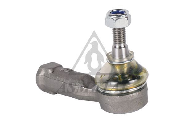 Skersinės vairo trauklės galas ASMETAL 17FR1901