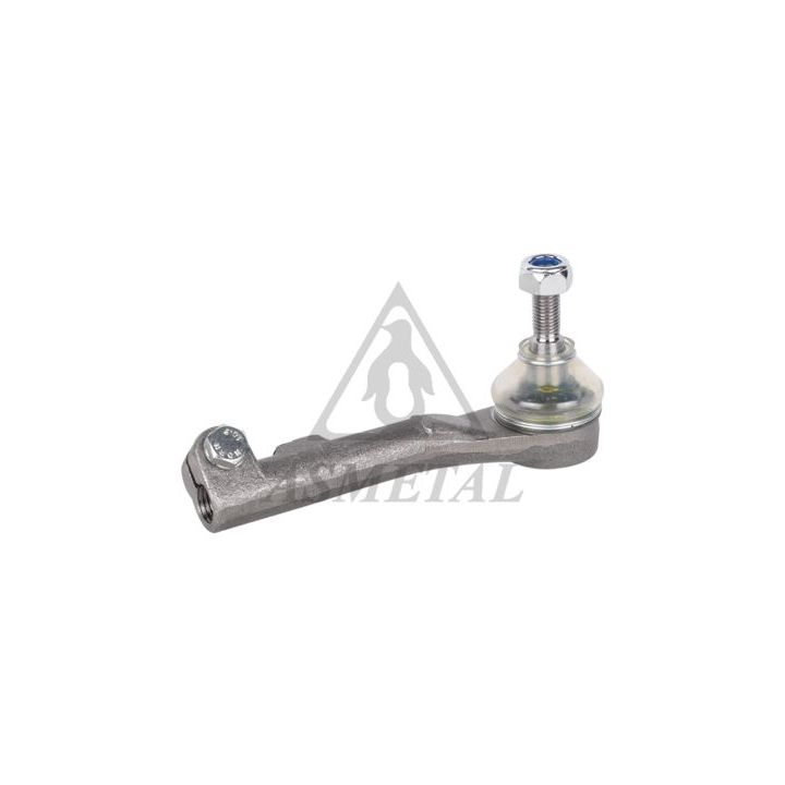 Skersinės vairo trauklės galas ASMETAL 17RN5500