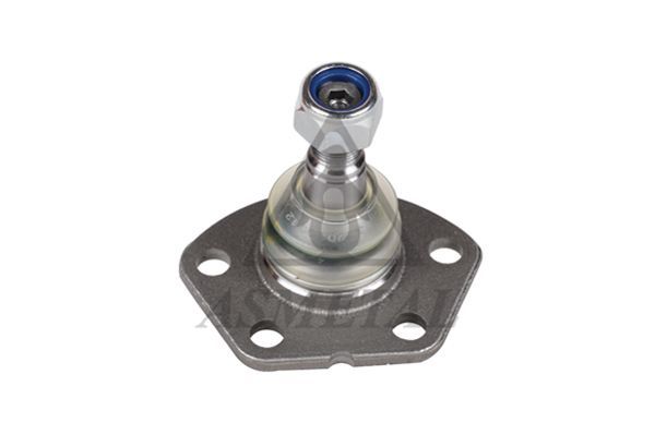 Šarnyras / girgždukas ASMETAL 10FI3005