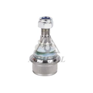 Šarnyras / girgždukas ASMETAL 10IV9005