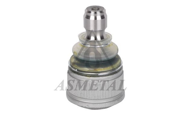 Šarnyras / girgždukas ASMETAL 10MZ0500