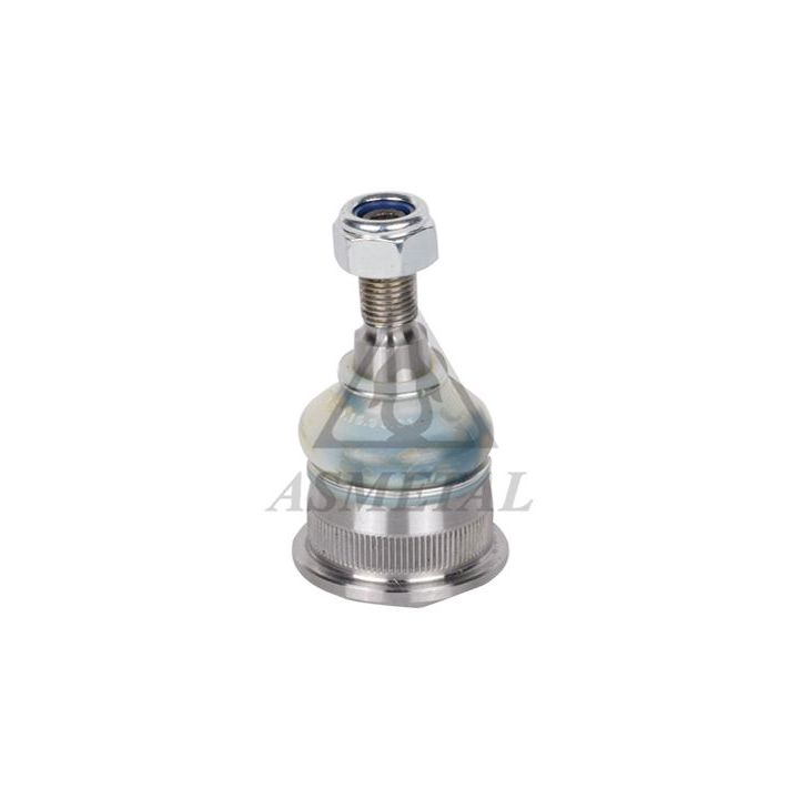 Šarnyras / girgždukas ASMETAL 10RN0500