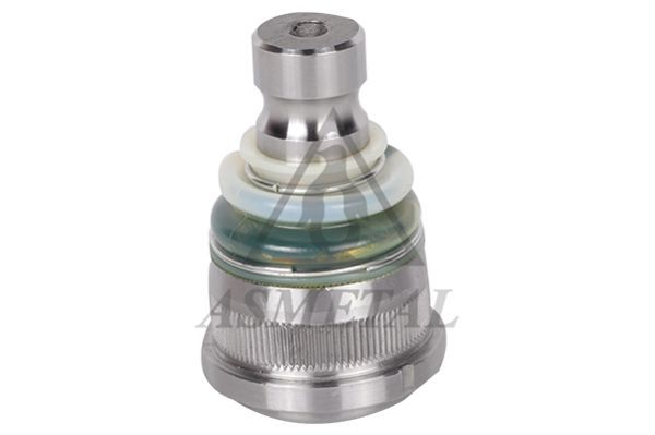 Šarnyras / girgždukas ASMETAL 10RN1105