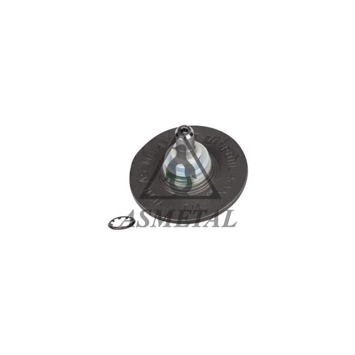 Šarnyras / girgždukas ASMETAL 10RN1110