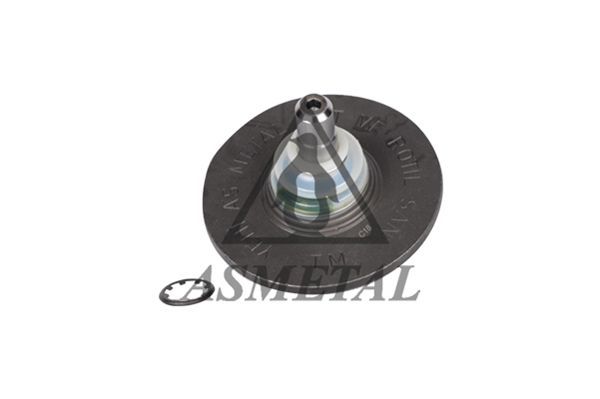 Šarnyras / girgždukas ASMETAL 10RN1110