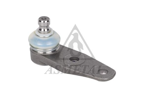 Šarnyras / girgždukas ASMETAL 10RN2001