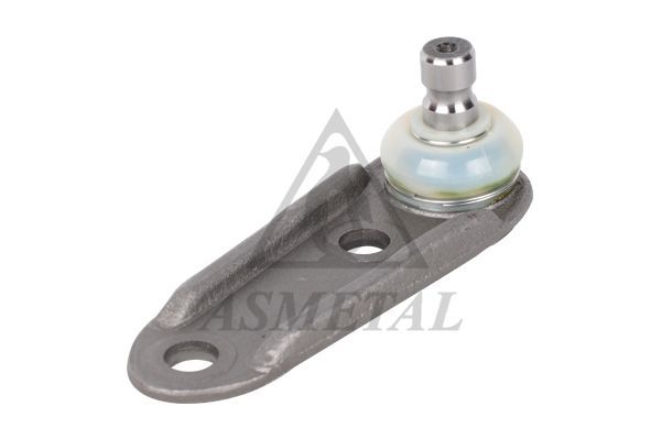 Šarnyras / girgždukas ASMETAL 10RN5500