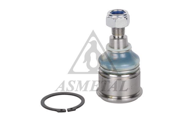 Šarnyras / girgždukas ASMETAL 10RV1005