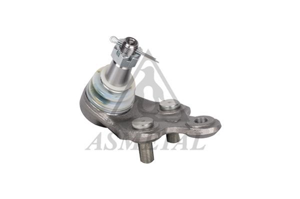 Šarnyras / girgždukas ASMETAL 10TY1010