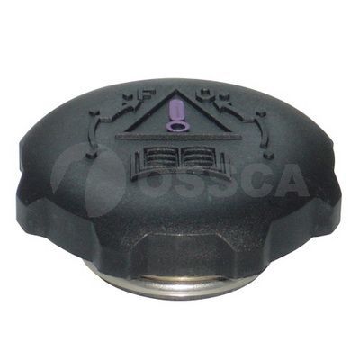 Dangtelis, radiatorius OSSCA 01631