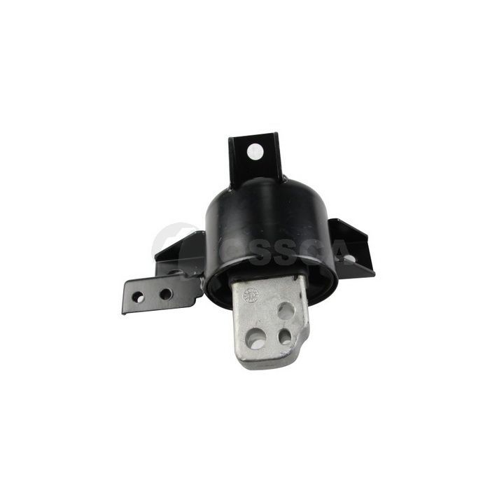 Variklio montavimas OSSCA 39830