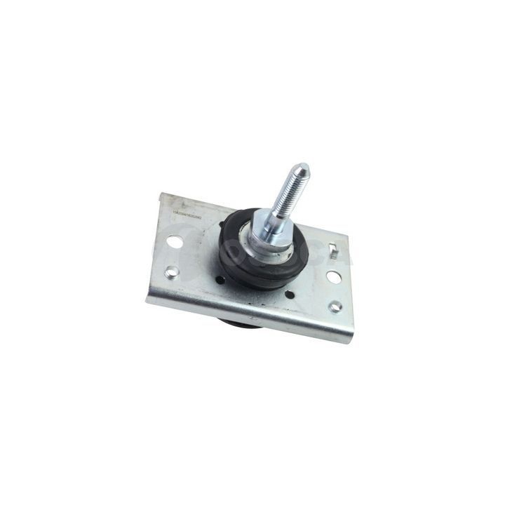 Variklio montavimas OSSCA 39926