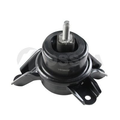 Variklio montavimas OSSCA 42007